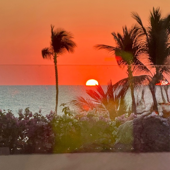 Meet your Posher, Catherine - Picture 1 of 6